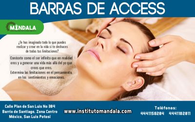 BARRAS DE ACCESS CONSCIOUSNESS