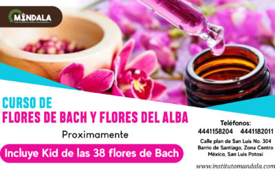 CURSO INTENSIVO DE FLORES DE BACH Y DEL ALBA