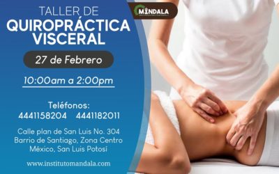 TALLER DE TERAPIA VISCERAL – 27 de Febrero