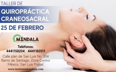 TALLER DE QUIROPRÁCTICA CRANEOSACRAL – 25 de Febrero