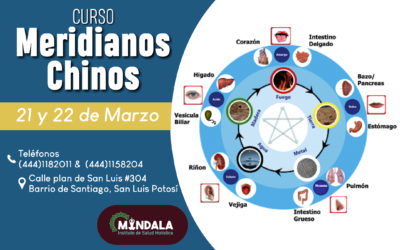 CURSO INTENSIVO DE MERIDIANOS CHINOS